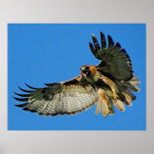 Geluid de Waakzame Geprogrammeerde Druk Poster (Voorkant)