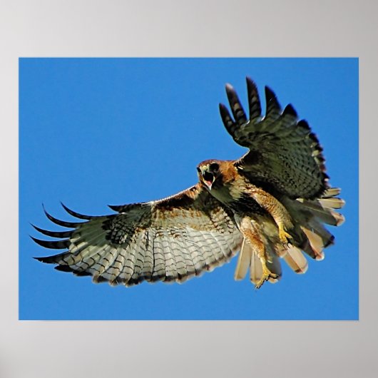 Geluid de Waakzame Geprogrammeerde Druk Poster (Voorkant)