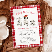 Geluid het alarm brandweer Baby shower Kaart