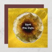 Geluid van muziek kaart (Voorkant / Achterkant)