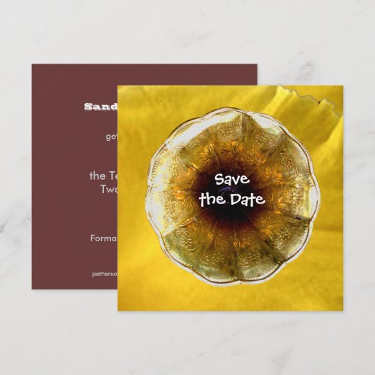 Geluid van muziek kaart (Voorkant / Achterkant)