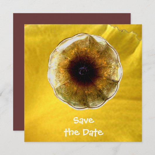 Geluid van muziek kaart (Voorkant / Achterkant)