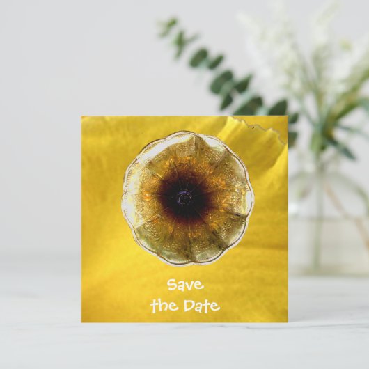 Geluid van muziek kaart (Staand voorkant)