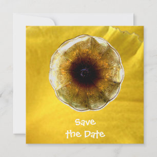 Geluid van muziek kaart