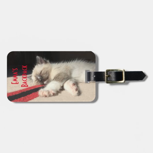 Geluidsslaapbeeld Siamese Kitten-foto Bagagelabel (Voorkant horizontaal)