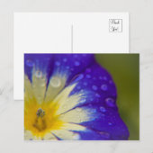 Geluk Briefkaart (Voorkant / Achterkant)