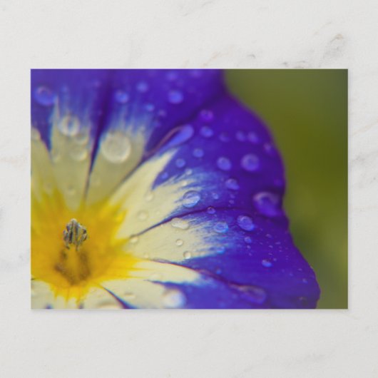 Geluk Briefkaart (Voorkant)