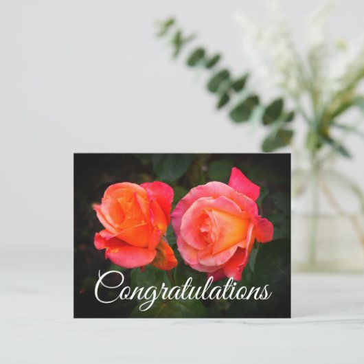 Geluk Broadway Rose #1 Ansichtkaart Briefkaart (Staand voorkant)