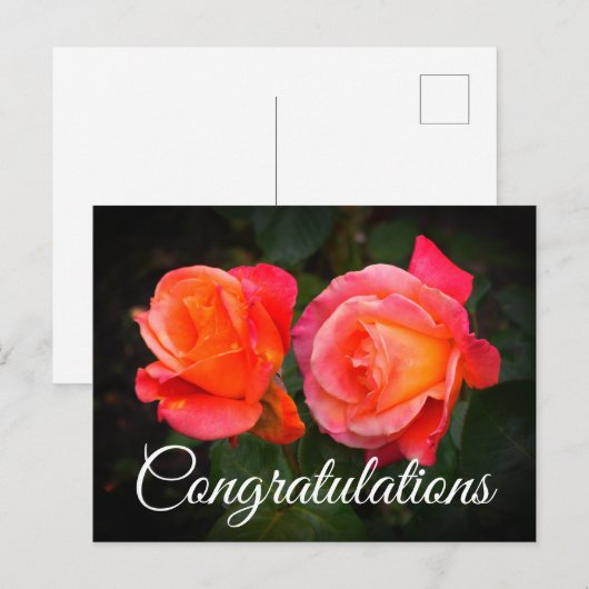 Geluk Broadway Rose #1 Ansichtkaart Briefkaart (Voorkant / Achterkant)