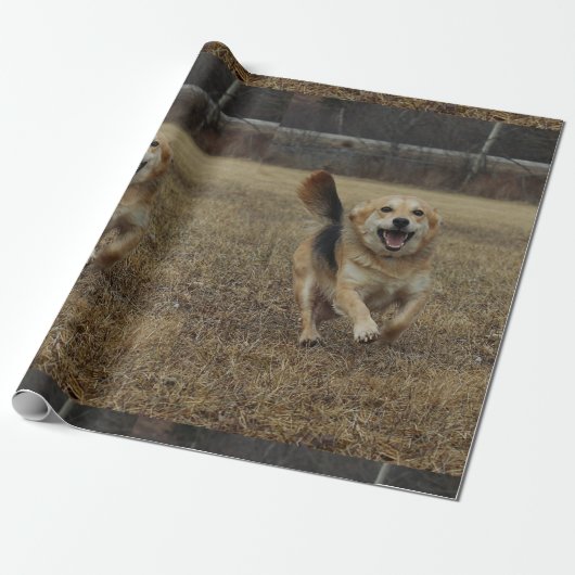 Geluk Cadeaupapier (Uitgerold)