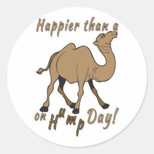 Geluk dan een Camel op Hump Day Ronde Sticker