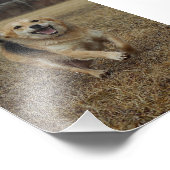 Geluk Foto Afdruk (Hoek)