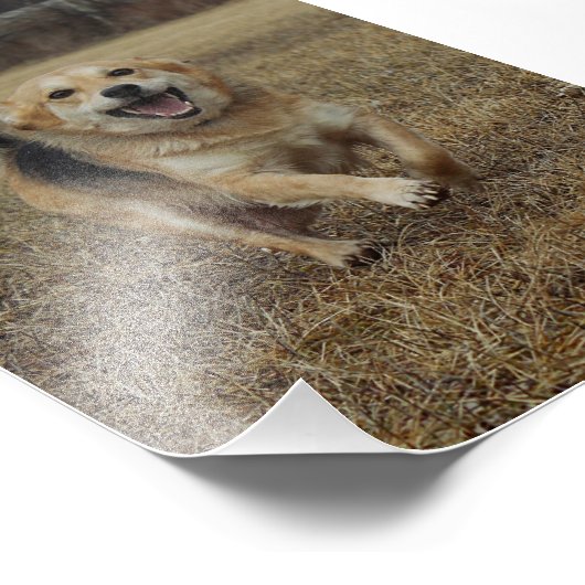 Geluk Foto Afdruk (Hoek)