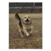 Geluk Foto Afdruk (Voorkant)