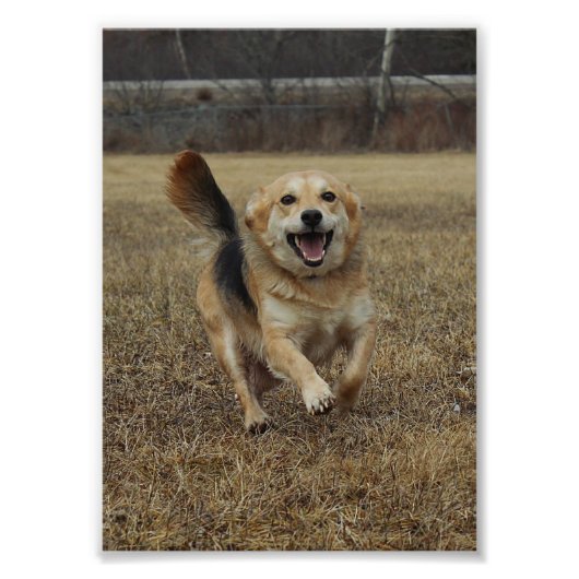 Geluk Foto Afdruk (Voorkant)