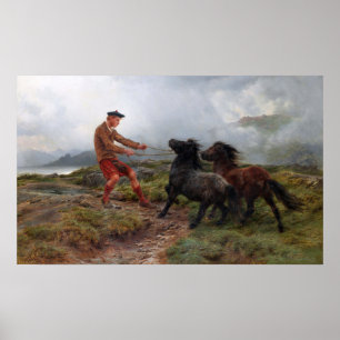 Geluk - Ghillie Shetlandpony's In Een Nevelig Land Poster