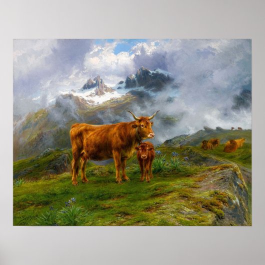 Geluk - Highland Cattle Poster (Voorkant)