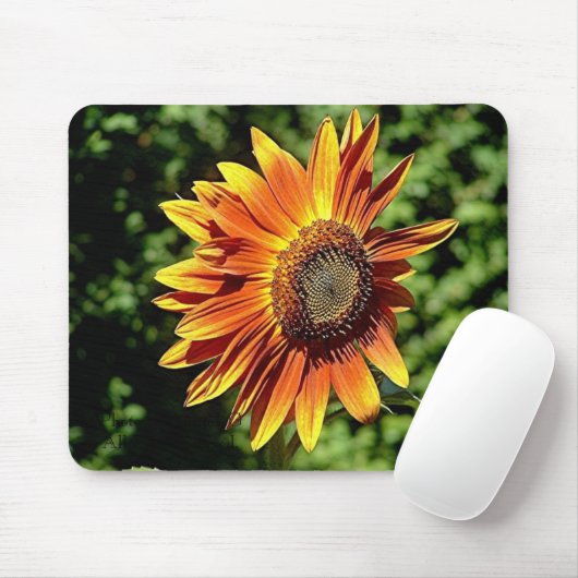 "Geluk in het Sinaasappel" Muismat (Met muis)