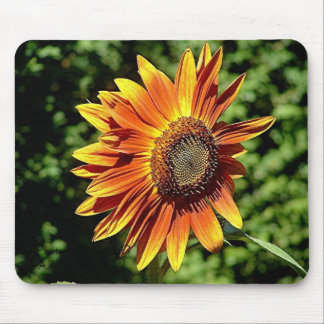 "Geluk in het Sinaasappel" Muismat