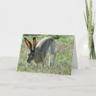 Geluk is een reis kaart