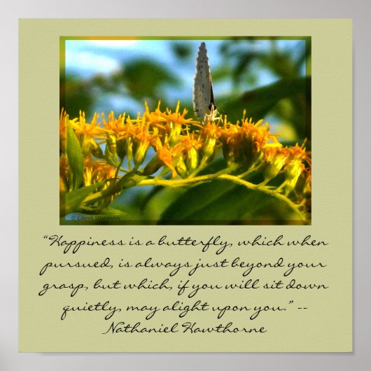 Geluk is een vlinderomlijste afdruk poster (Voorkant)