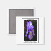 Geluk is wanneer... magneet (Voorkant / Achterkant)