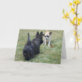 Geluk kaart met Schotse Terrier & Vriend (Gele Bloem)