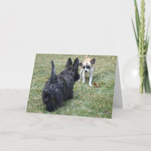 Geluk kaart met Schotse Terrier & Vriend