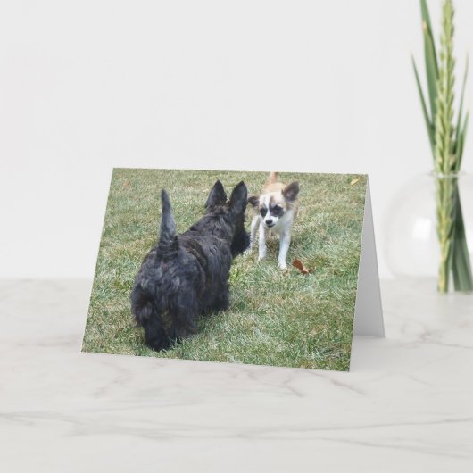 Geluk kaart met Schotse Terrier & Vriend (Voorkant)