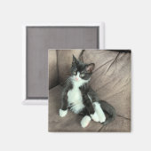 Geluk Kitten Magnet (Voorkant / Achterkant)