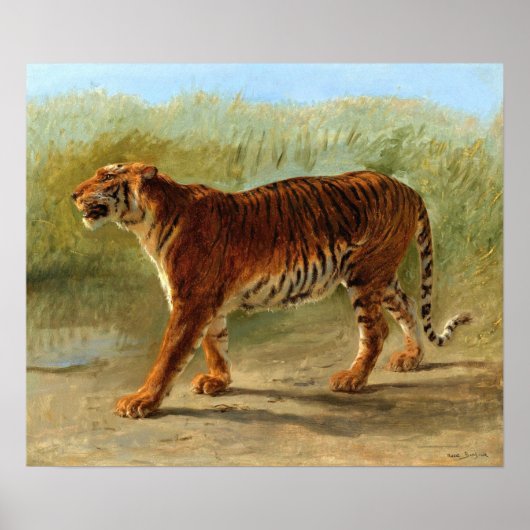 Geluk - Koninklijke Tijger Van De Mars Poster (Voorkant)
