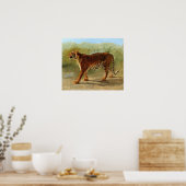 Geluk - Koninklijke Tijger Van De Mars Poster (Keuken)