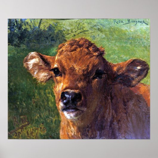 Geluk - Kop van een kalf Poster (Voorkant)