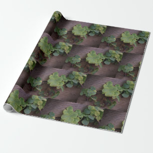 Geluk of Vastberaden? St. Patrick's Day Klavertjes Cadeaupapier
