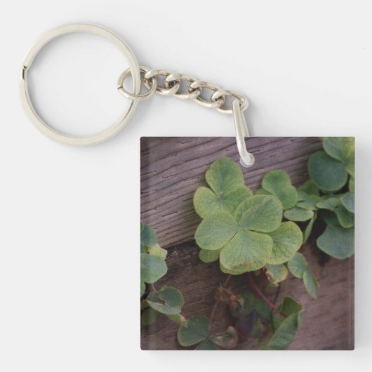 Geluk of Vastberaden? St. Patrick's Day Klavertjes Sleutelhanger (Voorkant)