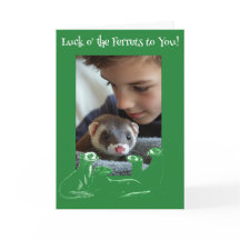 Geluk op de Fretten St. Patrick's Day