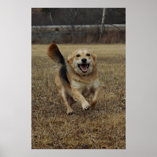 Geluk Poster (Voorkant)