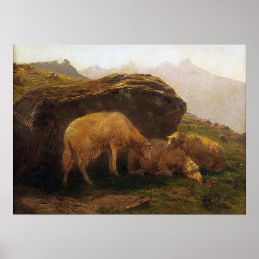 Geluk - Schapen op een heuvel Poster (Voorkant)