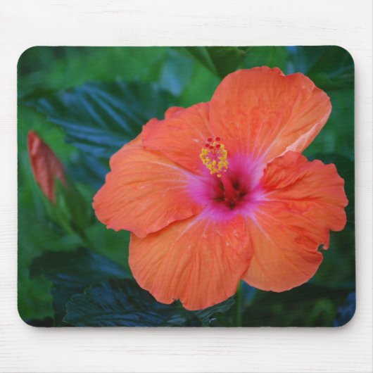 'Geluk van Hibiscus' Mousepad Muismat (Voorkant)