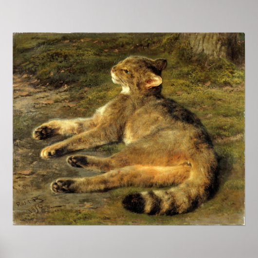 Geluk - Wilde Kat Poster (Voorkant)