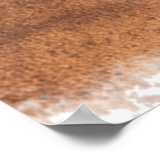 Geluk wordt bemind door een paard poster (Hoek)