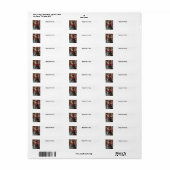 Gelukkig 4th van juli Cat Etiket (Full Sheet)