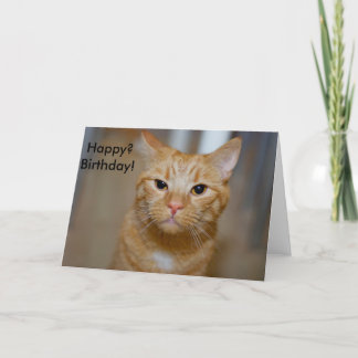 Gelukkig? Birthday! (Deze kat ziet er chagrijnig u Kaart
