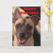 GELUKKIG BIRTHDAY! KAART (Gele Bloem)