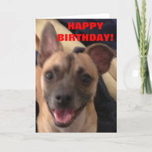 GELUKKIG BIRTHDAY! KAART