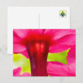 Gelukkig, Blij, Roze Bloem Briefkaart (Voorkant / Achterkant)