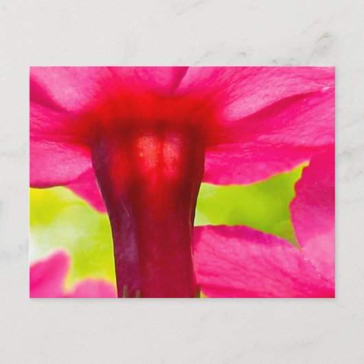Gelukkig, Blij, Roze Bloem Briefkaart (Voorkant)