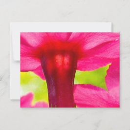 Gelukkig, Blij, Roze Bloem Briefkaart
