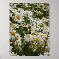 Gelukkig Bloemenweiland - Gelukkig gezicht lachend