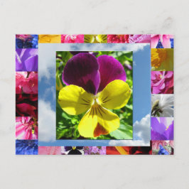 Gelukkig Briefkaart Flowers